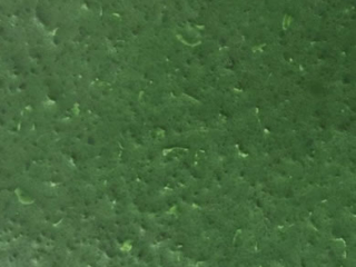 RKA506