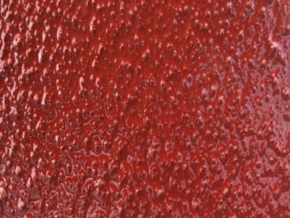 RKF804